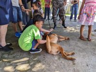 criancas-autistas-participam-de-sessao-de-terapia-com-caes-do-bope-em-macapa