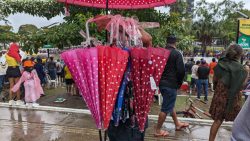 ‘choveu,-to-dentro’,-diz-autonomo-que-aproveitou-festa-do-dia-do-trabalhador-para-vender-sombrinhas-no-ap