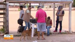 municipio-de-macapa-pretende-vacinar-ate-30-mil-caes-e-gatos-contra-a-raiva