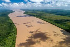 manguezais,-corais-e-terras-indigenas:-conheca-litoral-no-centro-da-discussao-sobre-a-exploracao-de-petroleo-pela-petrobras-no-rio-amazonas