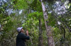 inteligencia-artificial-e-usada-por-pesquisadores-do-ap-em-estudos-de-ecologia-e-manejo-florestal-na-amazonia