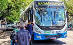 cadastro-e-recadastramento-de-meia-passagem-e-reaberto-para-estudantes;-veja-como-participar