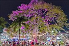 luau-da-samauma-retorna-apos-3-anos-com-exposicoes,-espaco-literario,-musica-e-vendas-no-ap