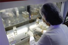 iepa-oferta-10-vagas-para-programa-de-iniciacao-cientifica-com-remuneracao-de-r$-700;-veja-como-se-inscrever