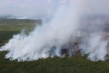 no-ap,-incendio-na-reserva-biologica-do-lago-piratuba-chega-a-8-quilometros-de-extensao