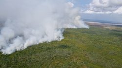 agentes-da-forca-nacional-serao-enviados-ao-amapa-para-ajudar-no-combate-aos-incendios-florestais