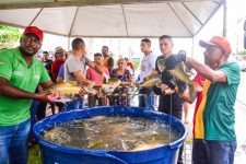 feira-do-peixe-funciona-aos-sabados-e-domingos-com-valores-promocionais,-em-macapa